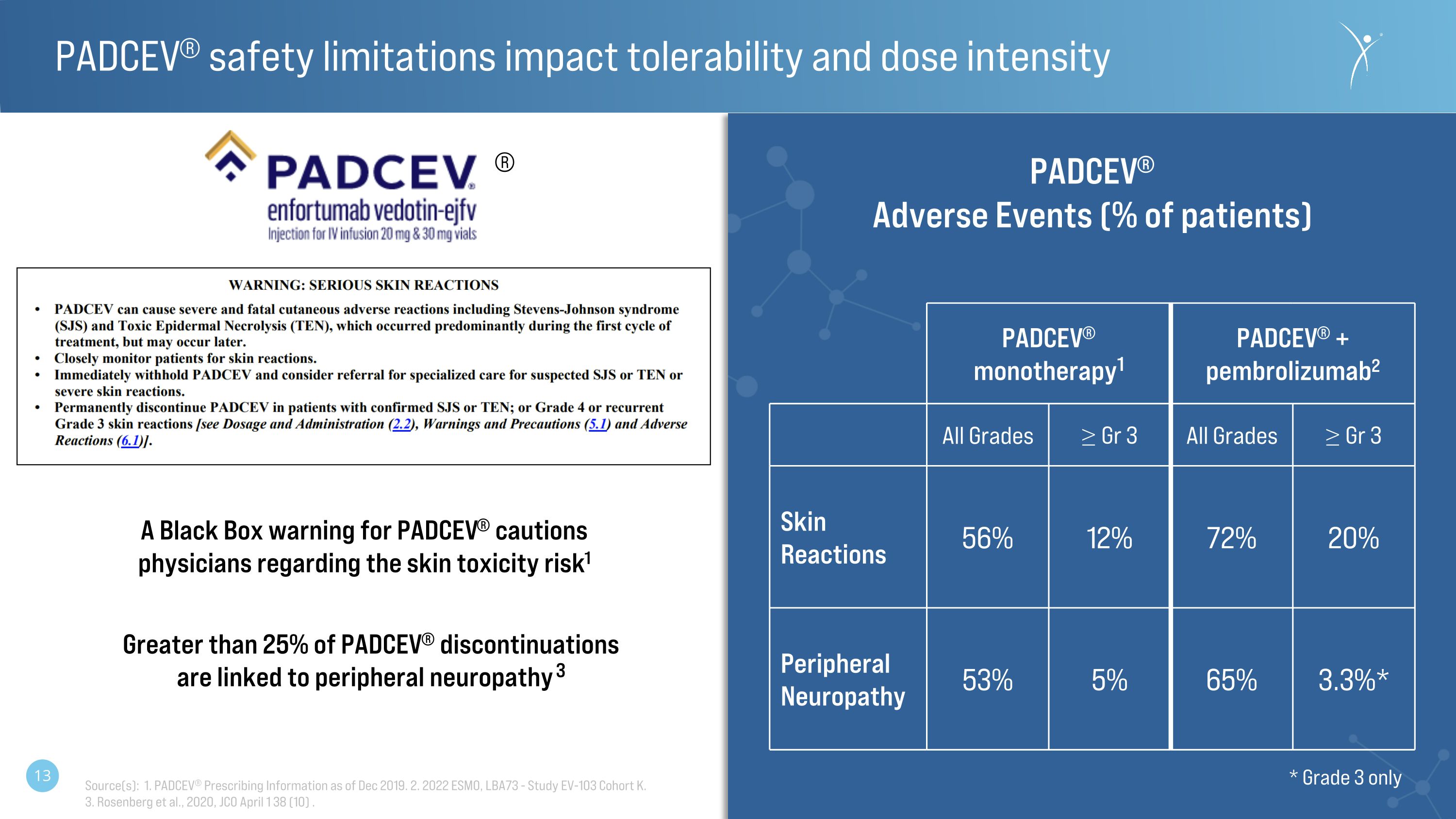 Slide 13