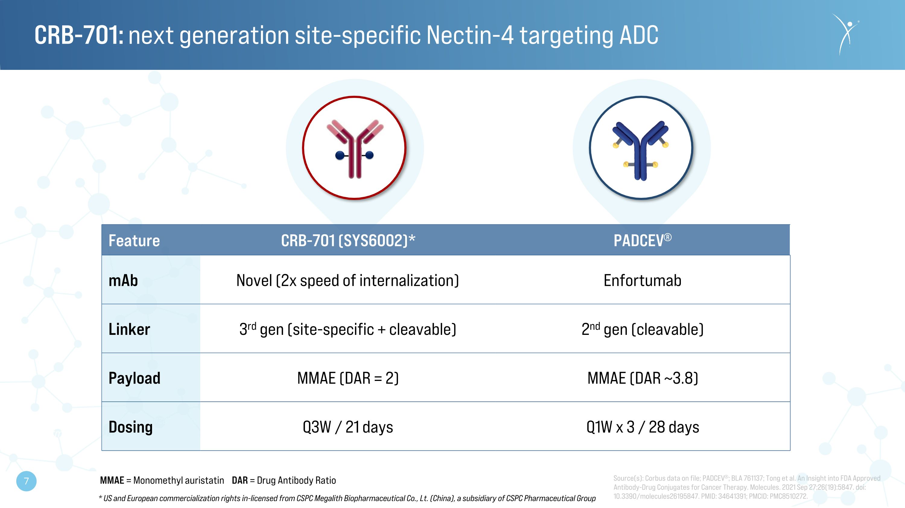 Slide 7