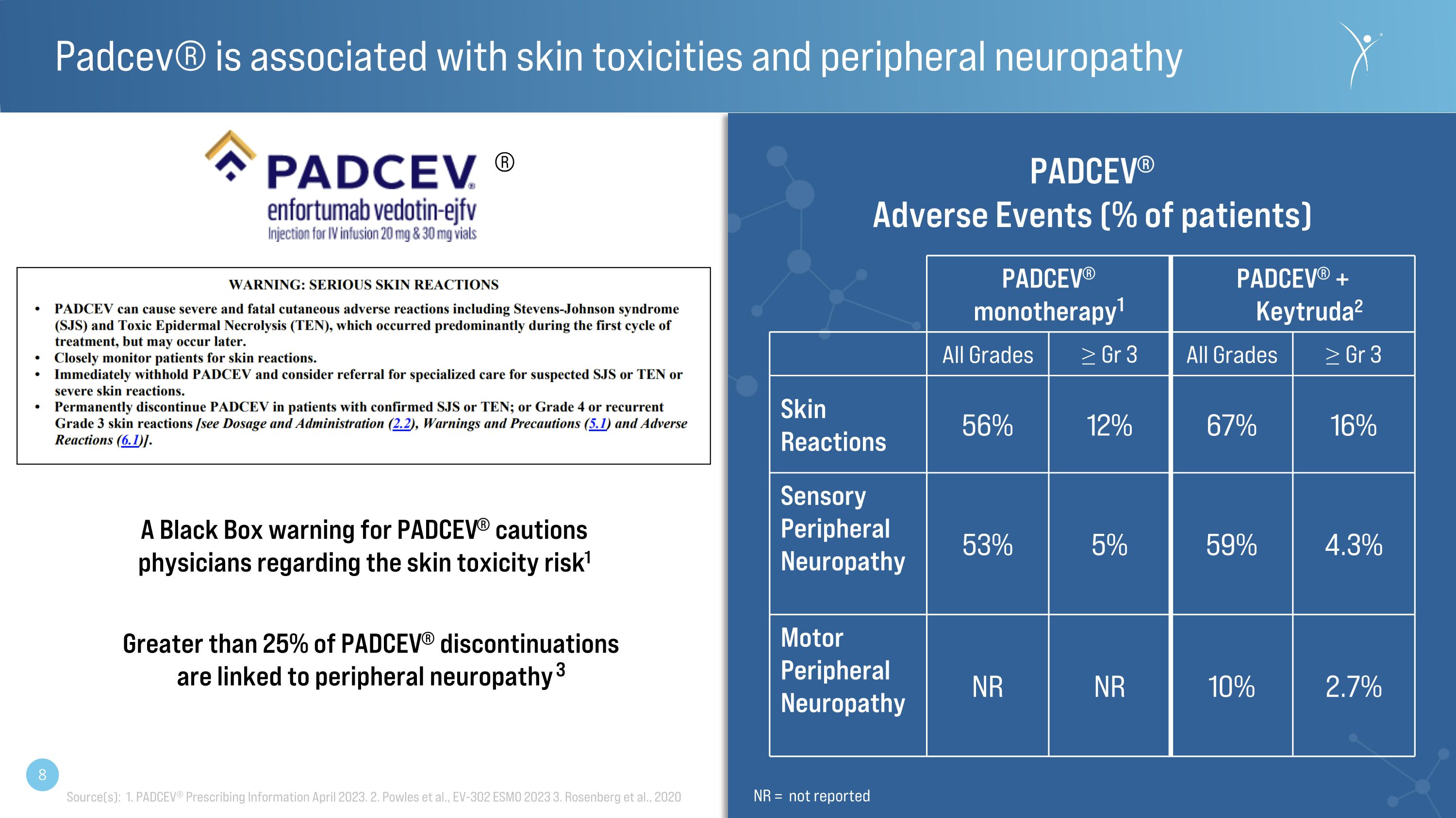 Slide 8