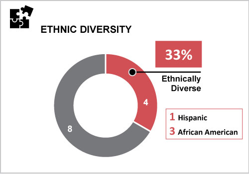 [MISSING IMAGE: tm2013061d1-pc_ethnicdivpms.jpg]